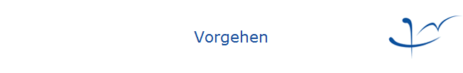Vorgehen